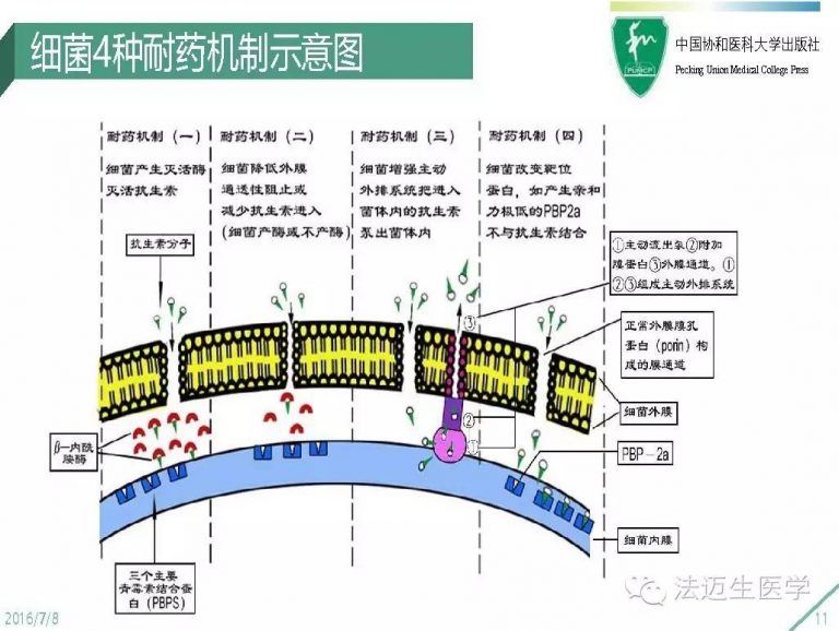 香港免费资料正版大全